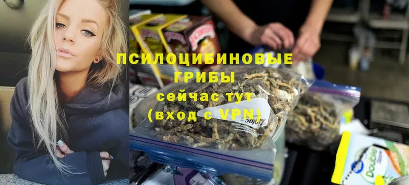 где найти наркотики  Бугуруслан  Галлюциногенные грибы Cubensis 